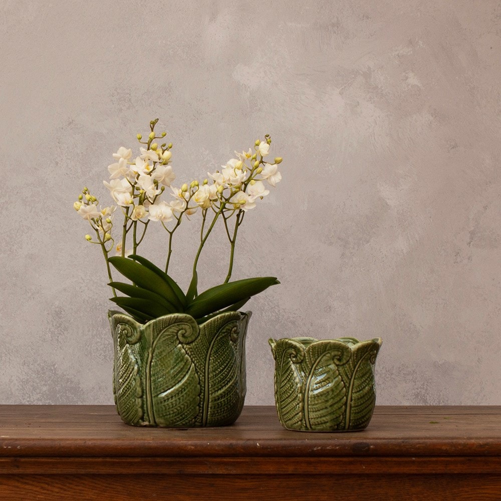 Fern indoor glazed pot set of 2 - green