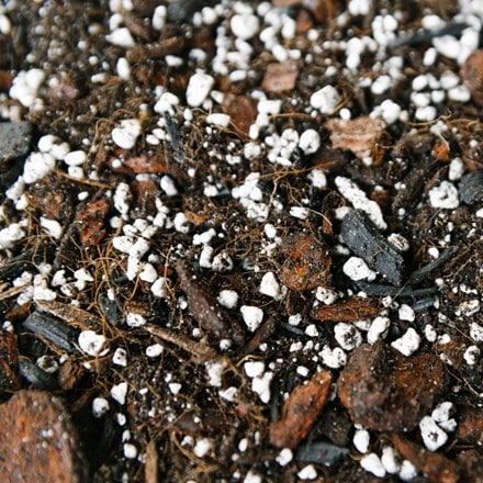 Anthurium & orchid compost blend
