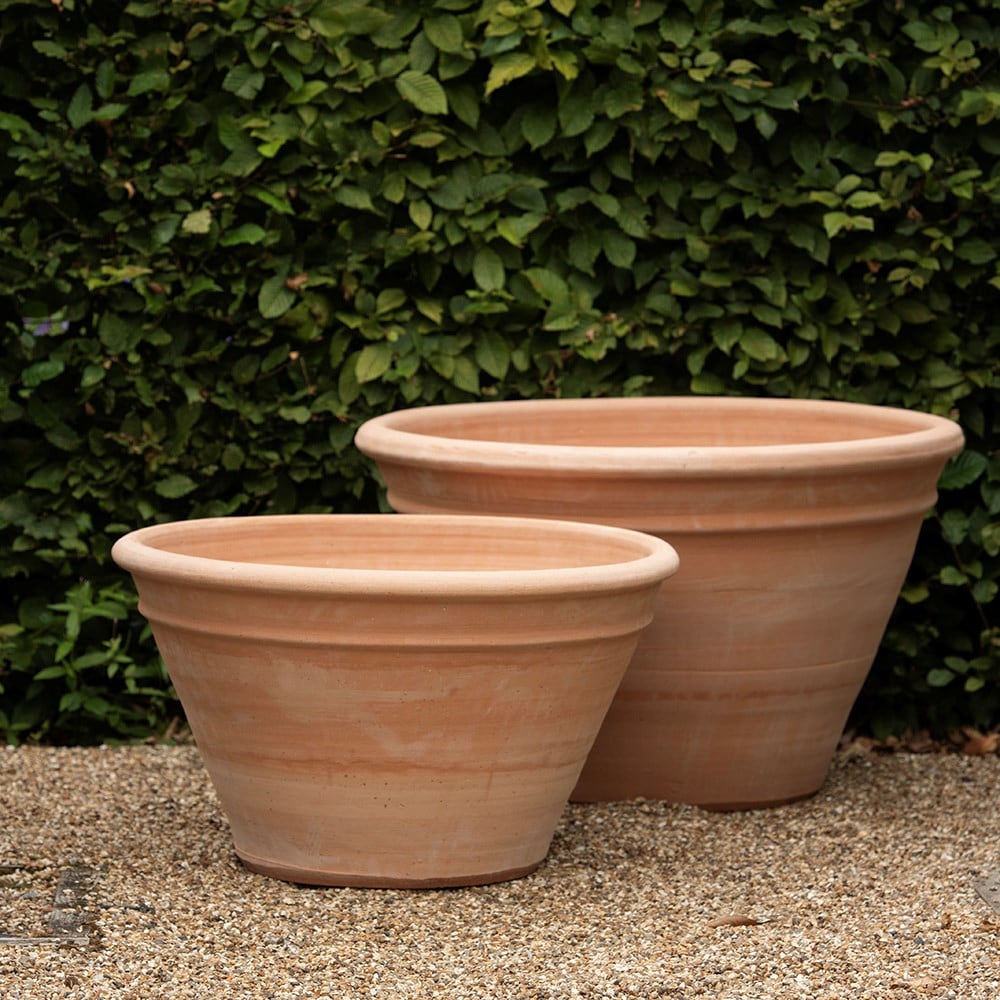 Terracotta dahlia pot
