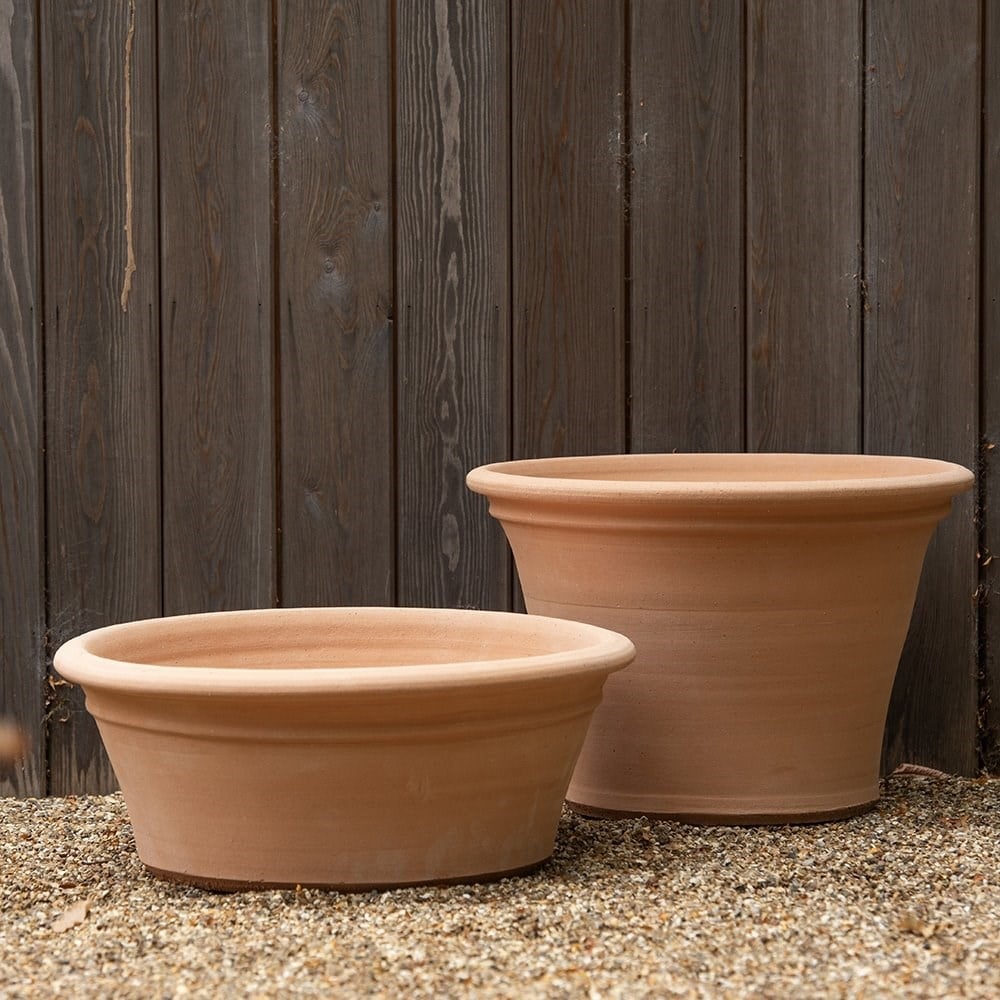 Terracotta salvia pot