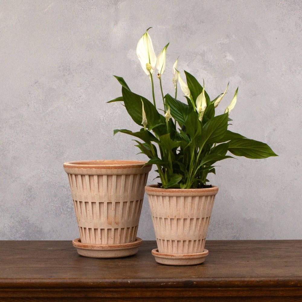 Bergs geometric design tapered plant pot with saucer - terracotta