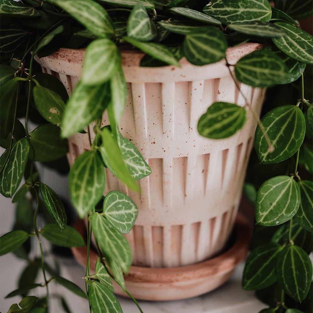 Geometric design tapered plant pot with saucer - terracotta