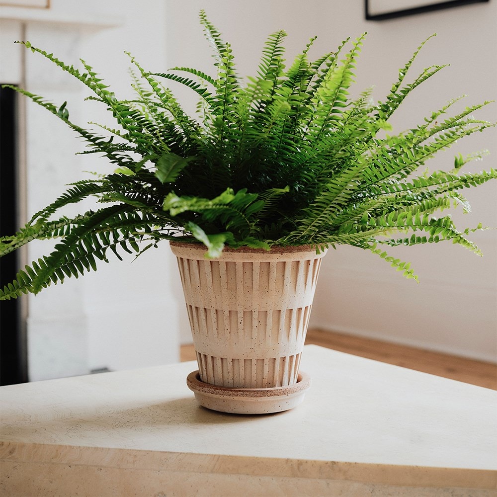 Geometric design tapered plant pot with saucer - terracotta