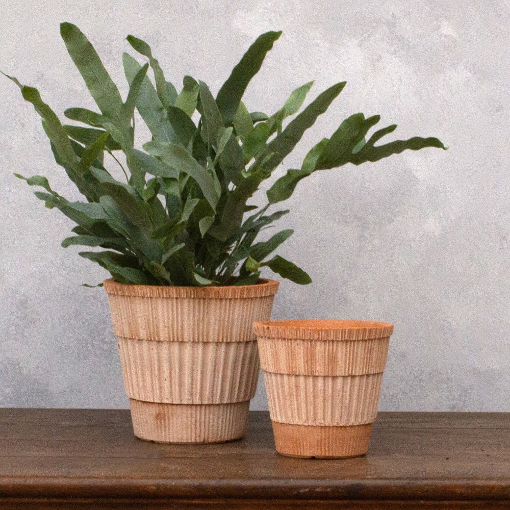 Bergs geometric stripe design tapered plant pot with saucer - terracotta