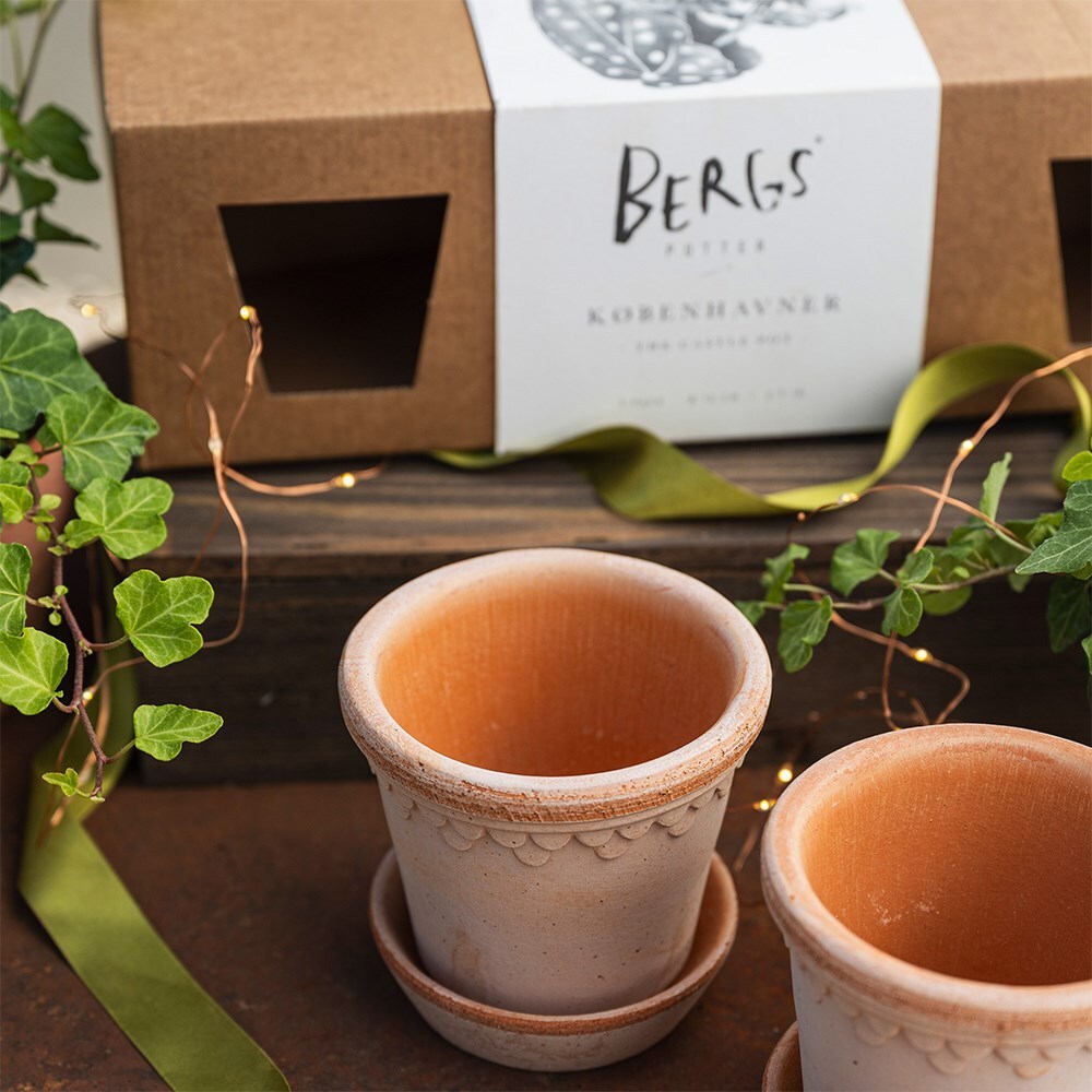 Bergs scalloped tapered plant pot with saucer set of 3 with gift box - terracott