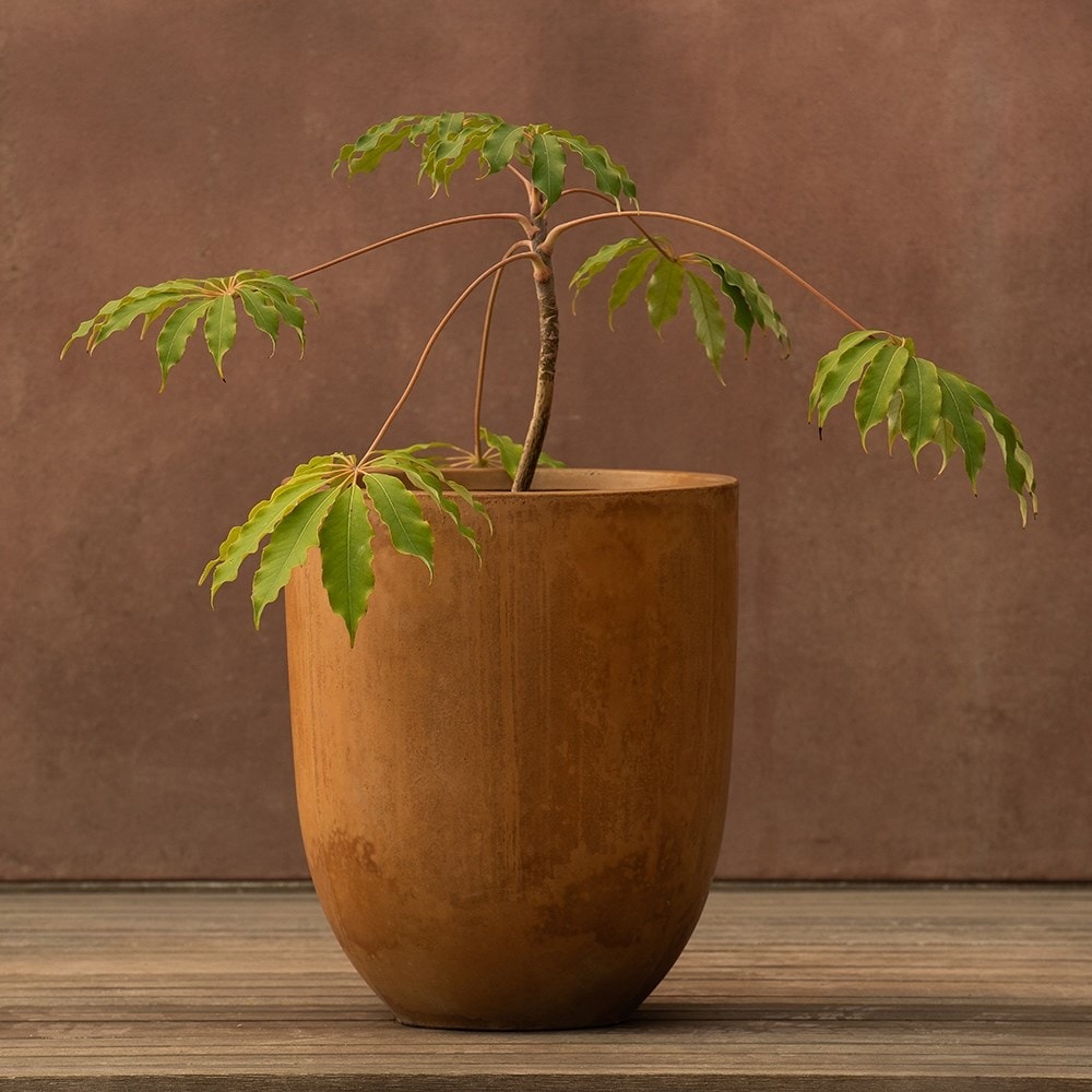 Drop planter - rust 