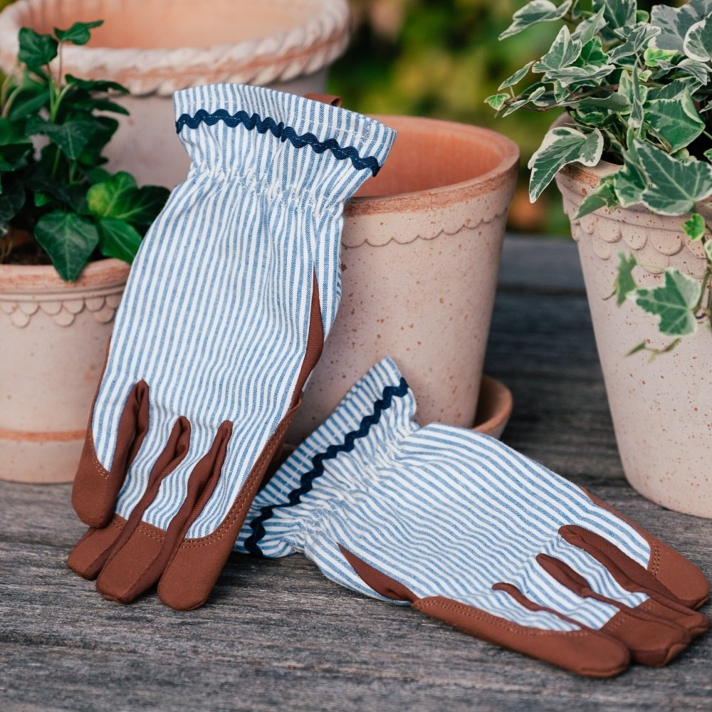 Product options image