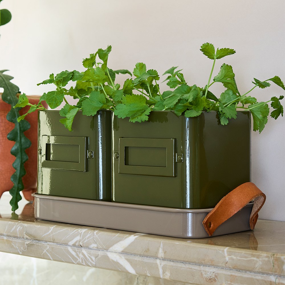 Herb pots with tray - khaki