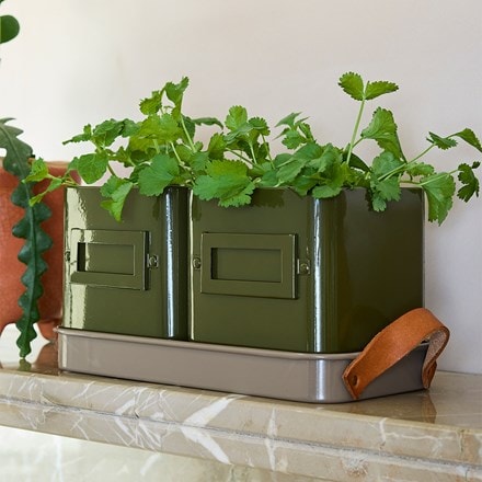 Herb pots with tray - khaki