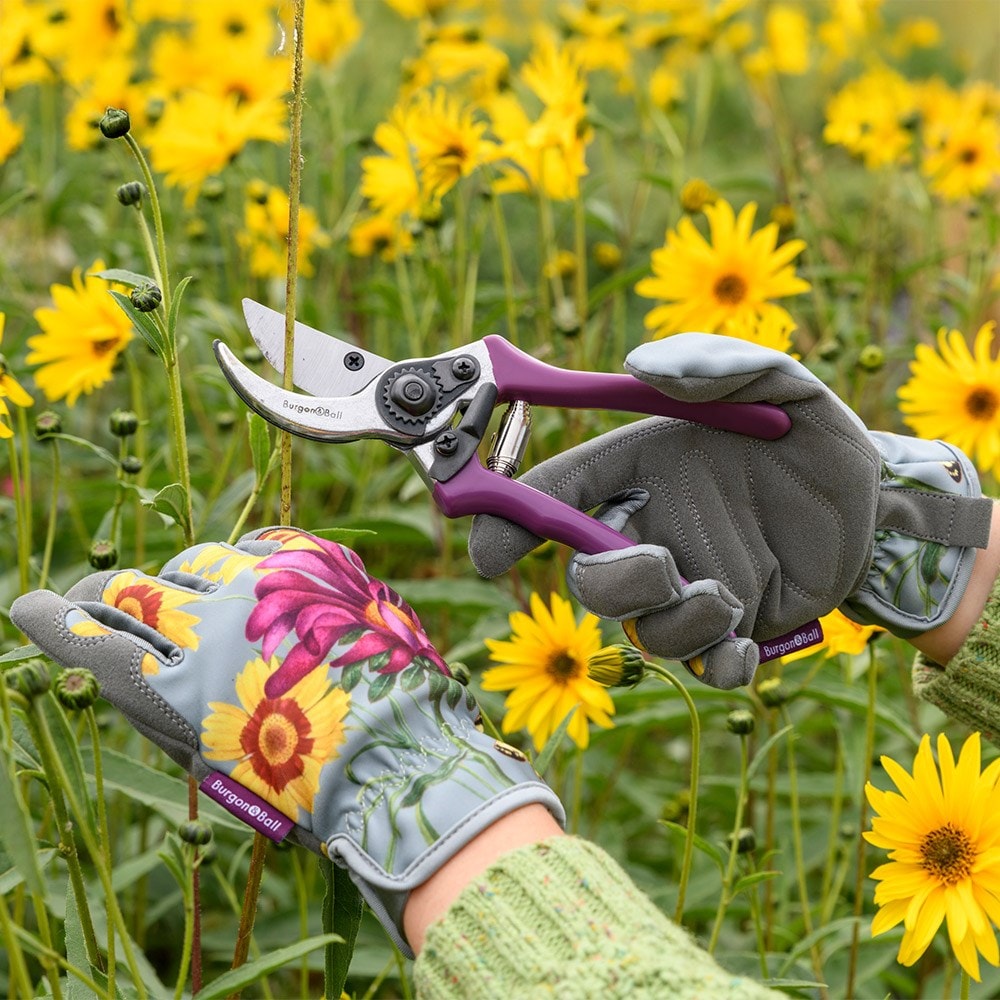 RHS Burgon and Ball secateur with gift box floral print -  asteraceae