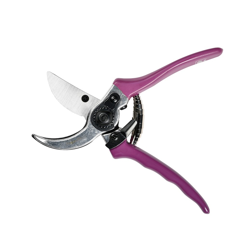 RHS Burgon and Ball secateur with gift box floral print -  asteraceae