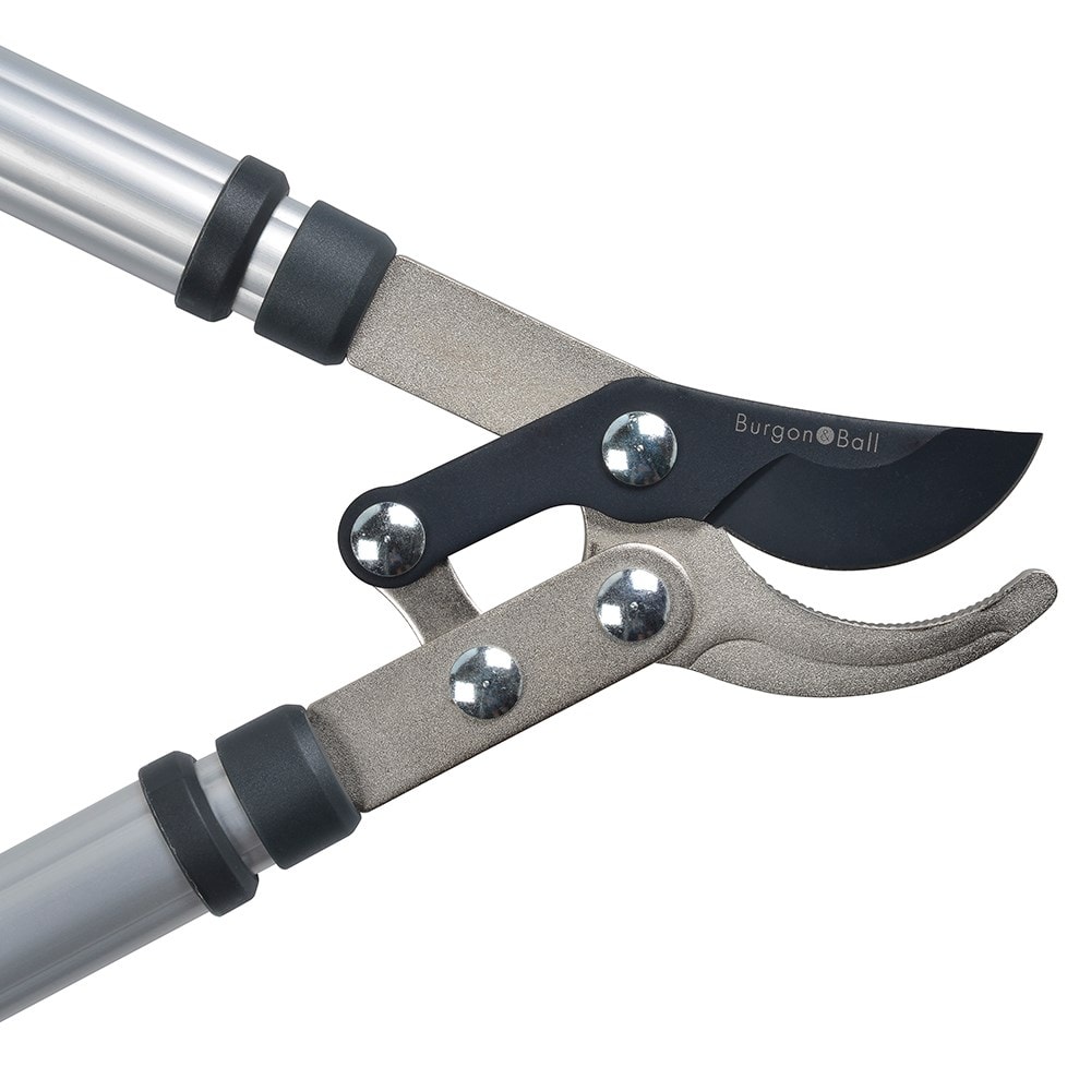 RHS Burgon and Ball telescopic bypass loppers