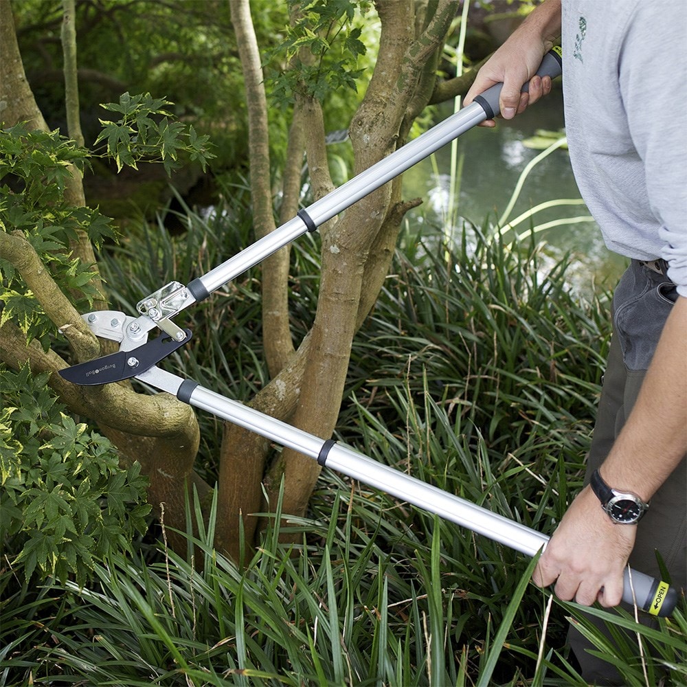 RHS Burgon and Ball telescopic ratchet loppers