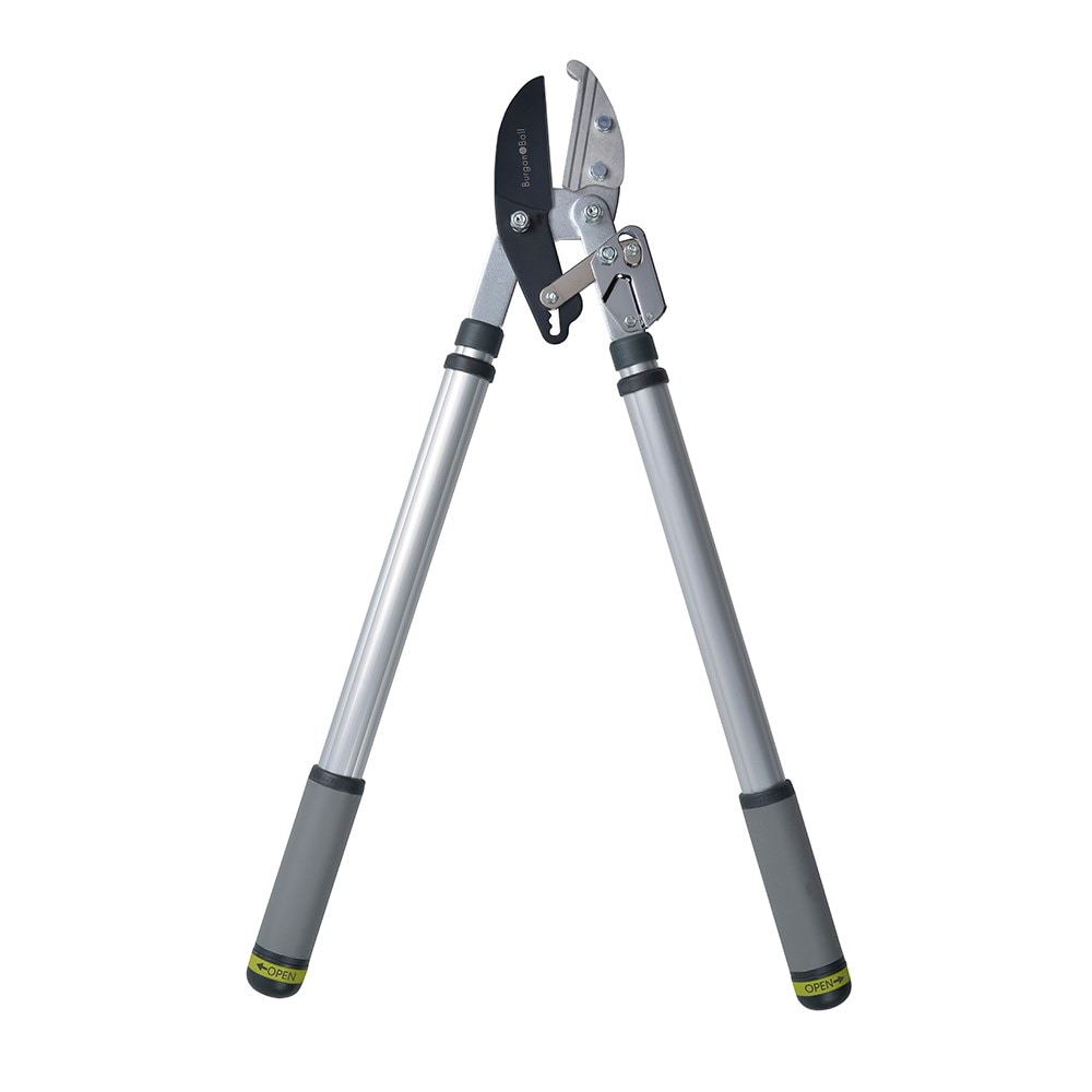 RHS Burgon and Ball telescopic ratchet loppers