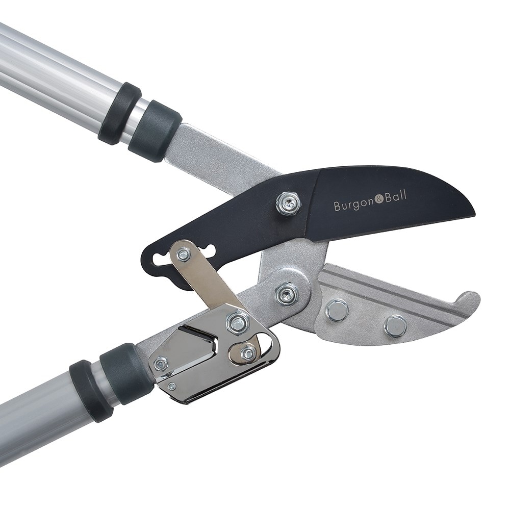 RHS Burgon and Ball telescopic ratchet loppers