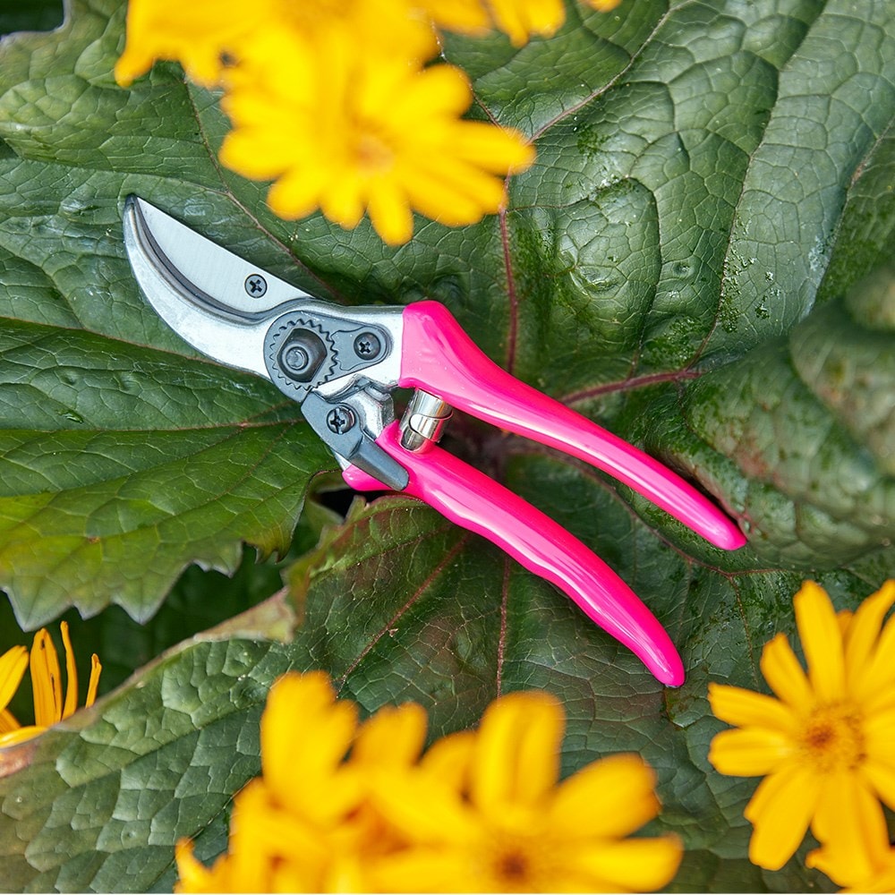 RHS FloraBrite bypass secateurs - pink