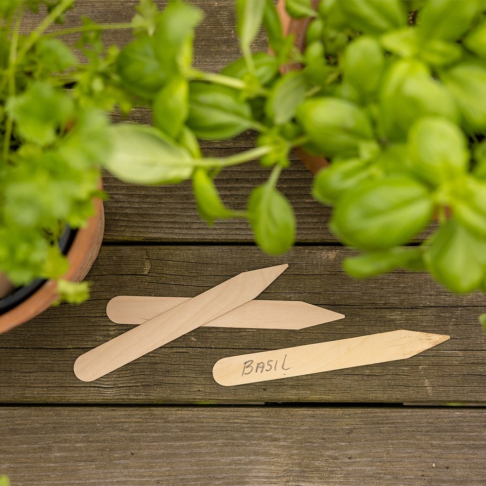 Wooden plant labels pack of 40 - 15cm 
