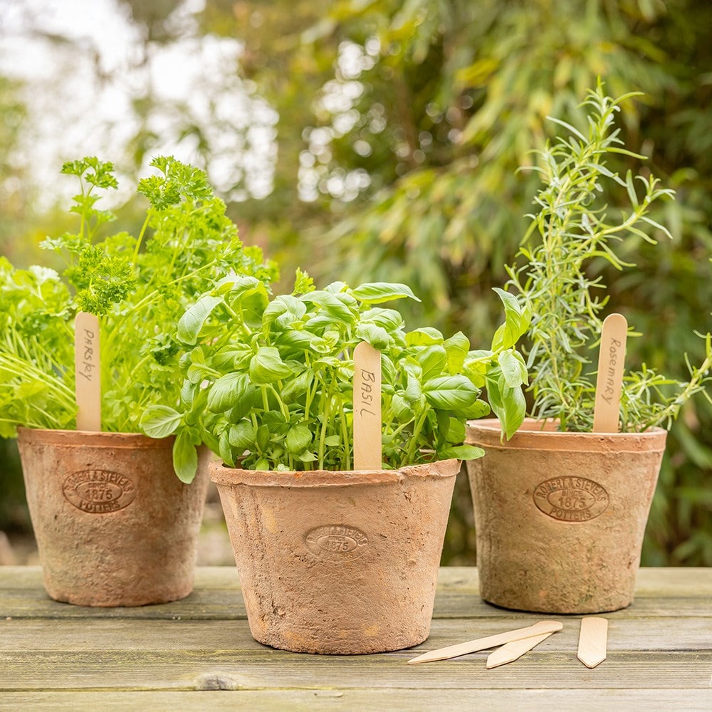 Wooden plant labels pack of 40 - 15cm 