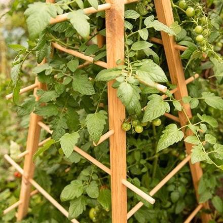 Wooden plant support pyramid