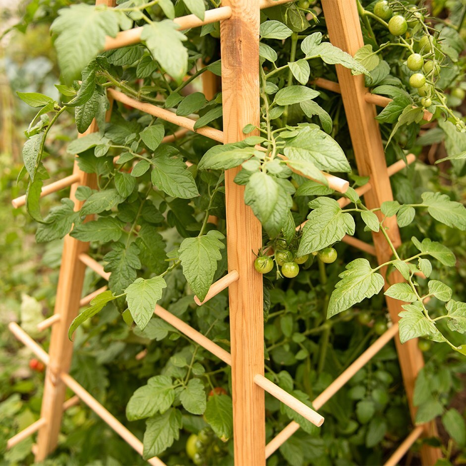 Wooden plant support pyramid
