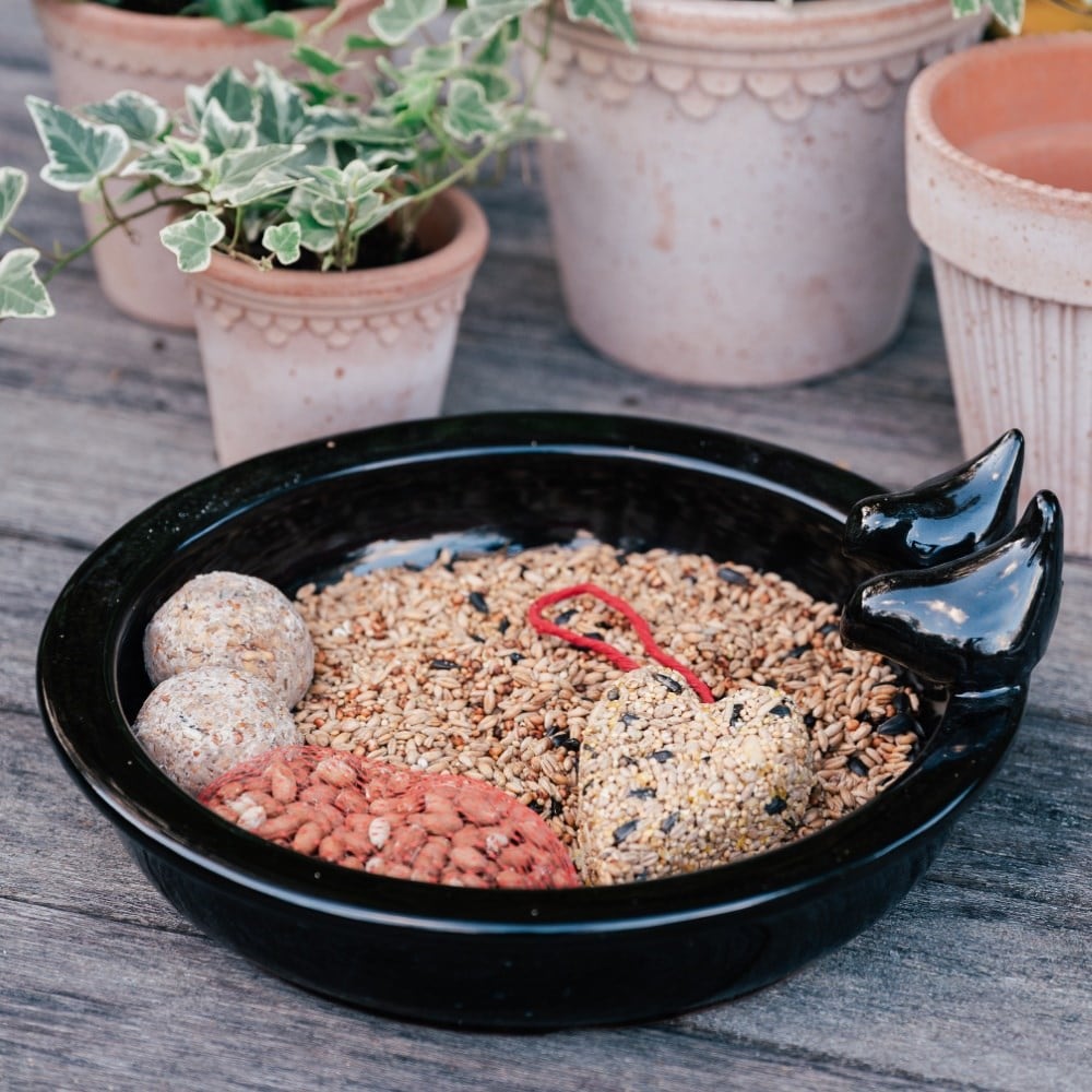 Bird bath & bird food gift set 