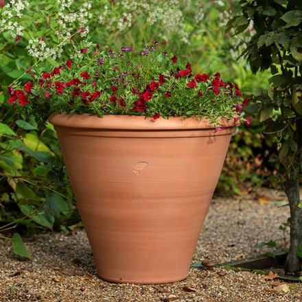 Terracotta bedding/bulb pot