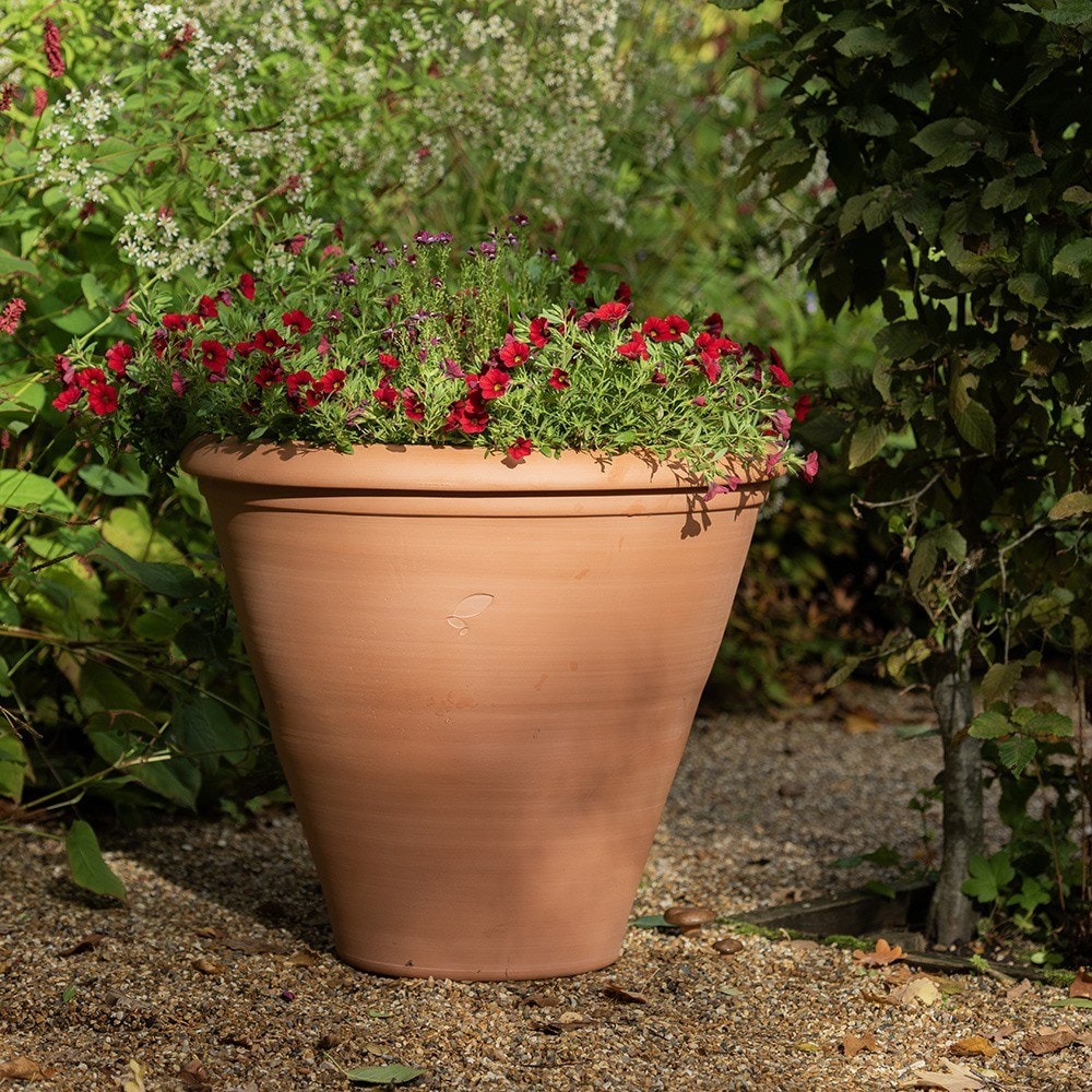 Terracotta bedding/bulb pot