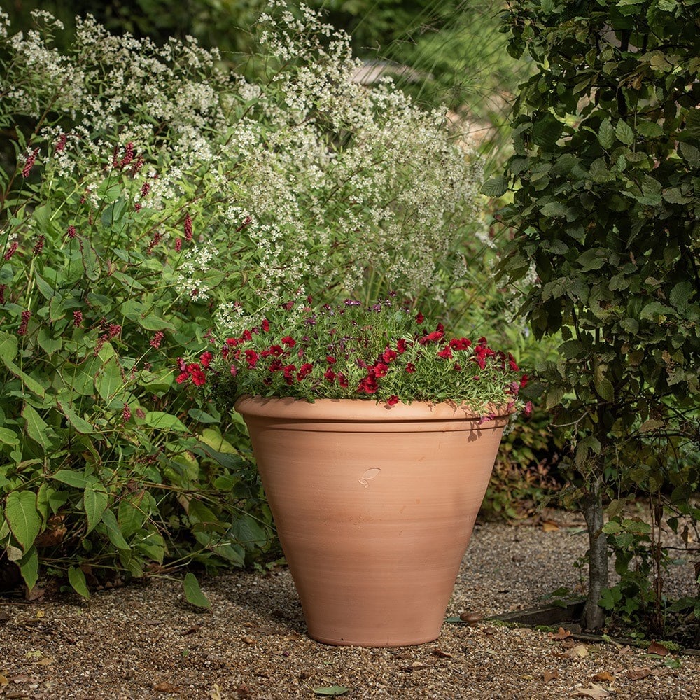 Terracotta bedding/bulb pot