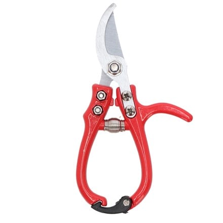 Rose pruners