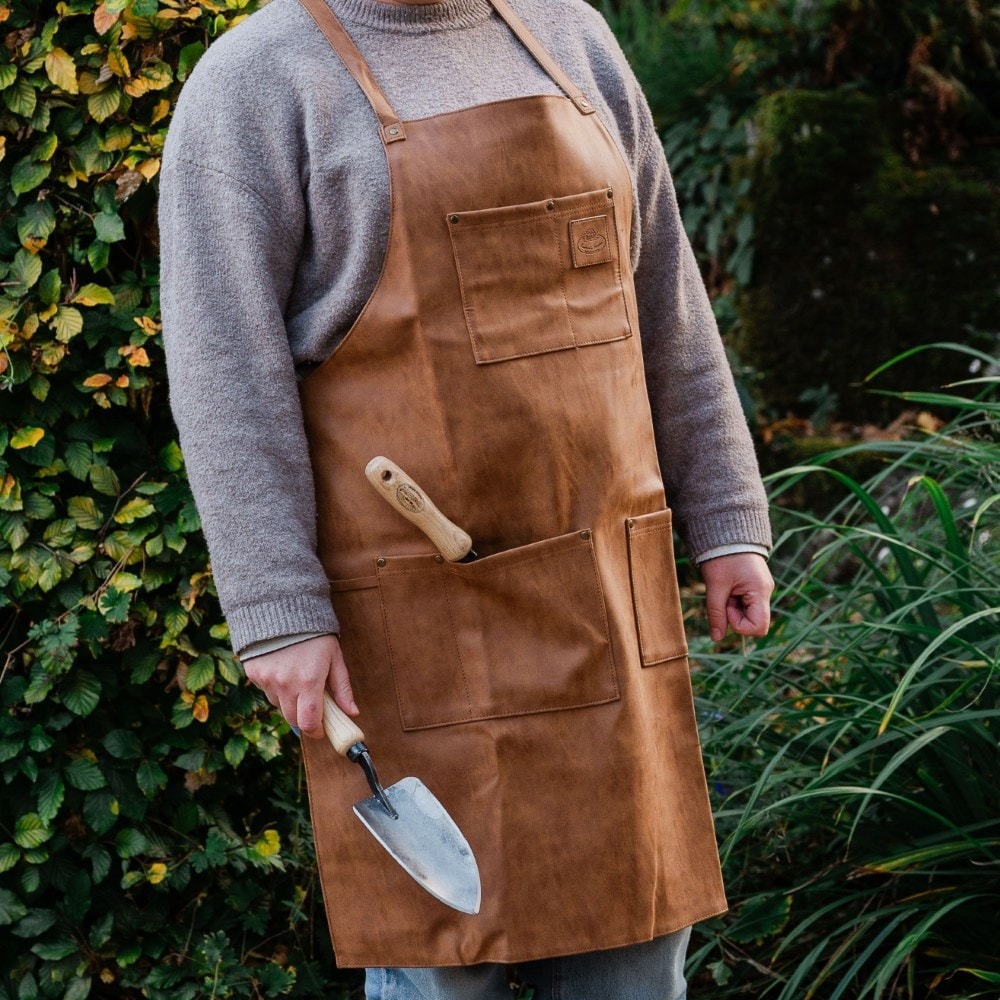 Product options image