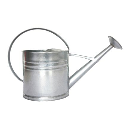 Zinc watering can