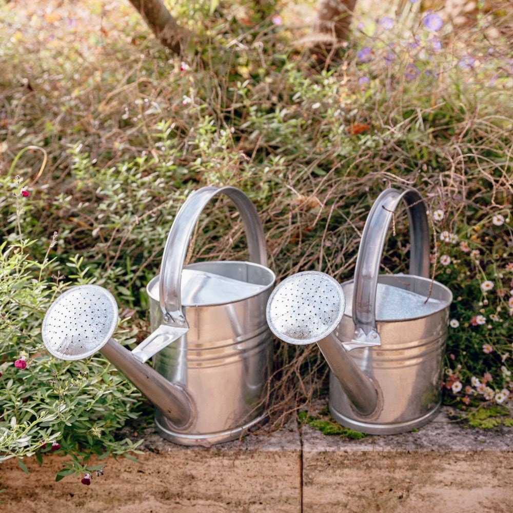 Zinc watering can