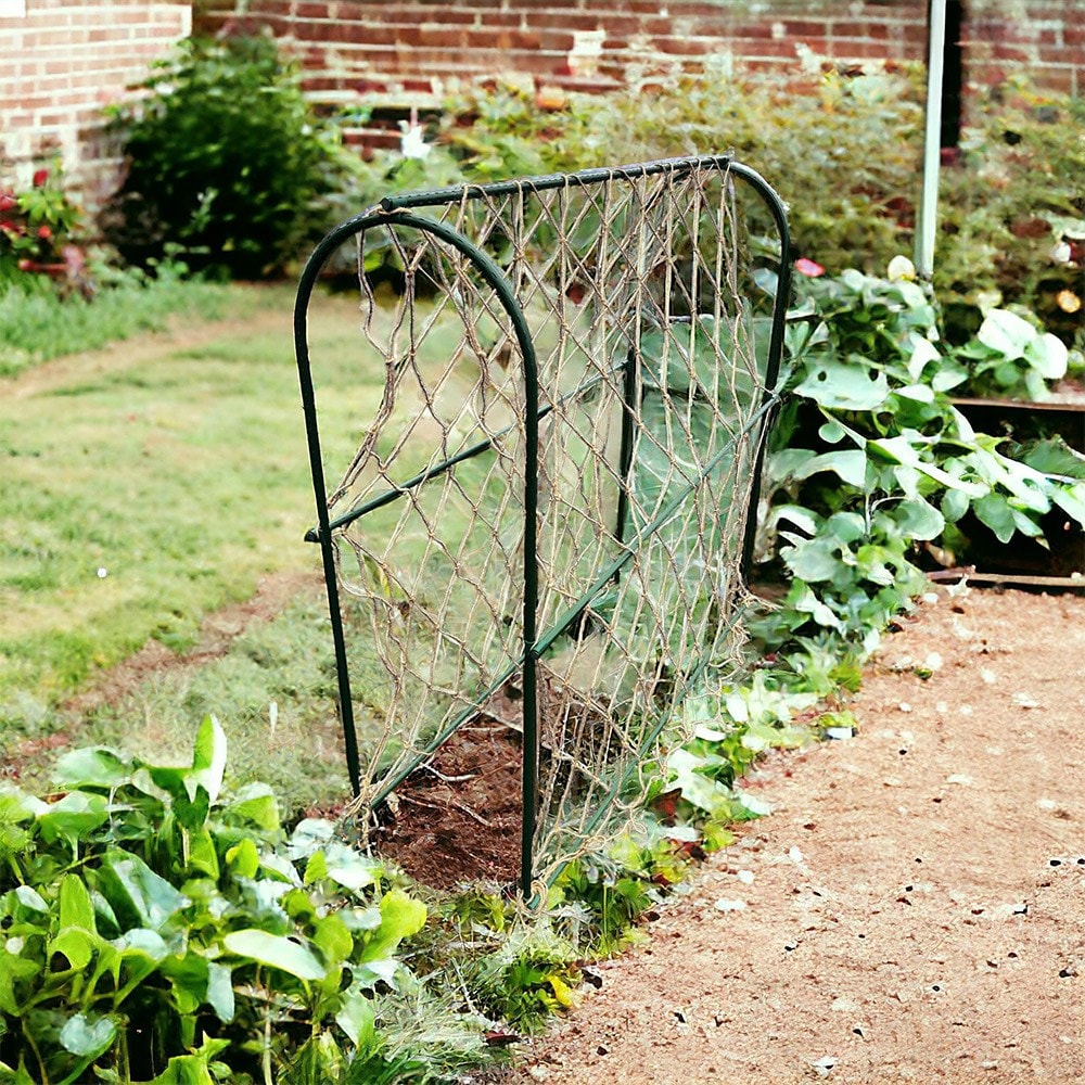 Pea hoop grow frame
