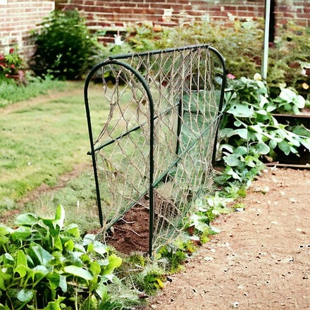 Pea hoop grow frame