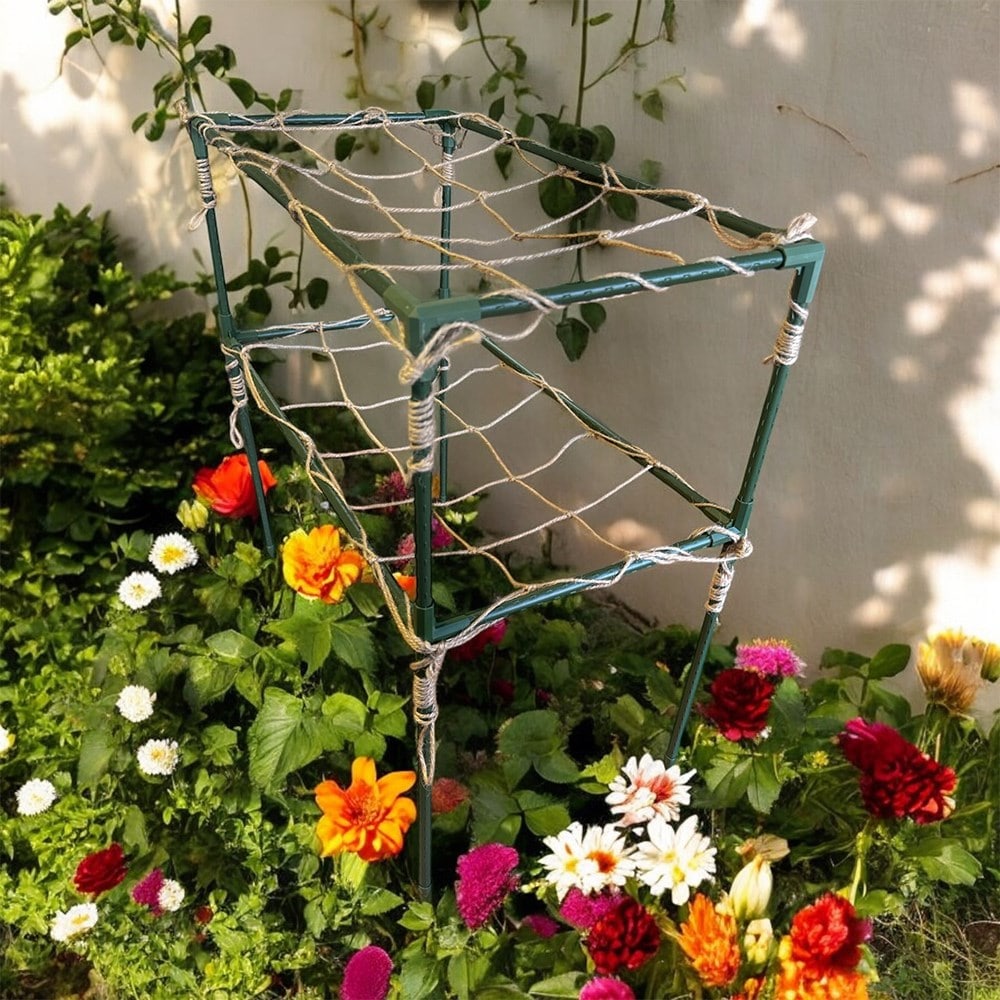 Product options image