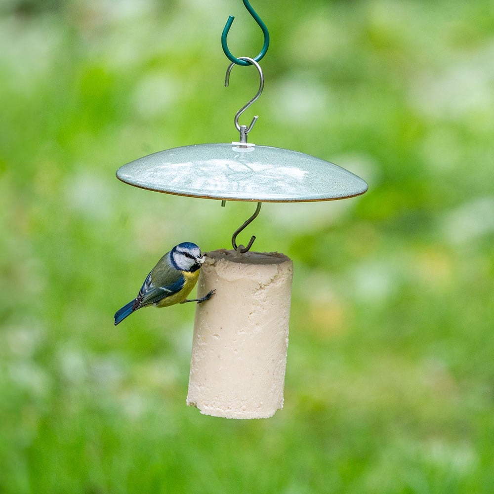 Ceramic hanging suet cake bird feeder - green