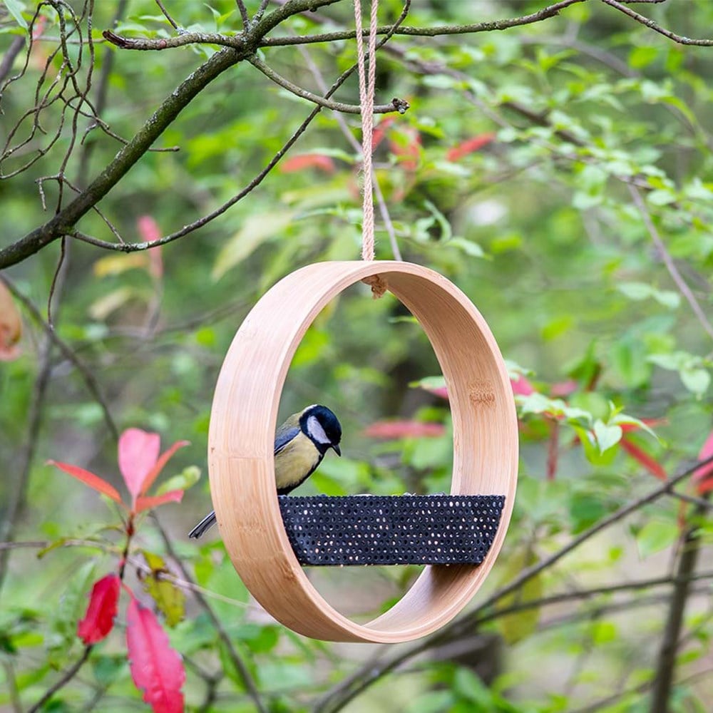 Contemporary bamboo seed feeder