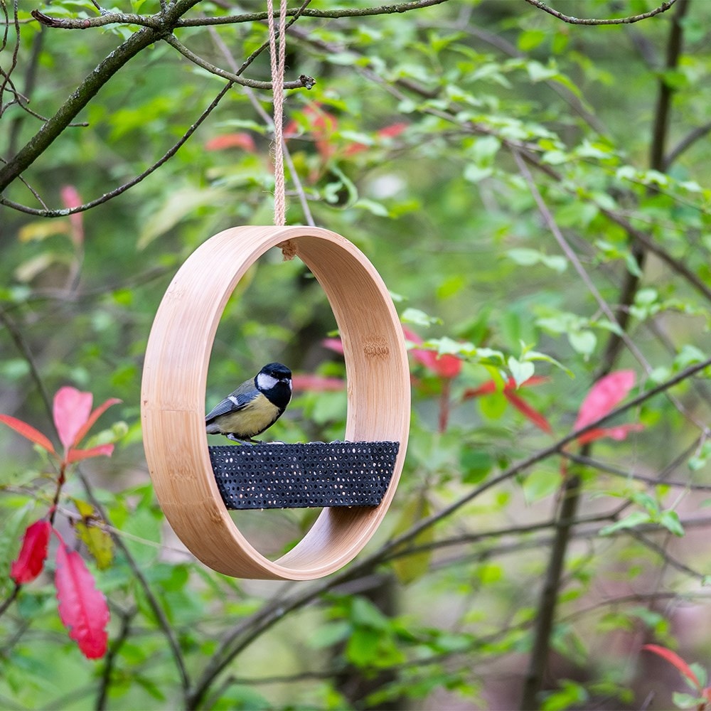 Contemporary bamboo seed feeder