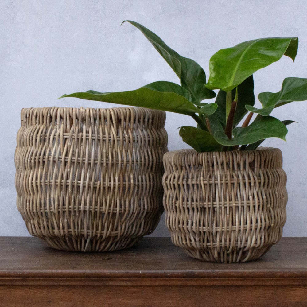 Rattan textured plant pot
