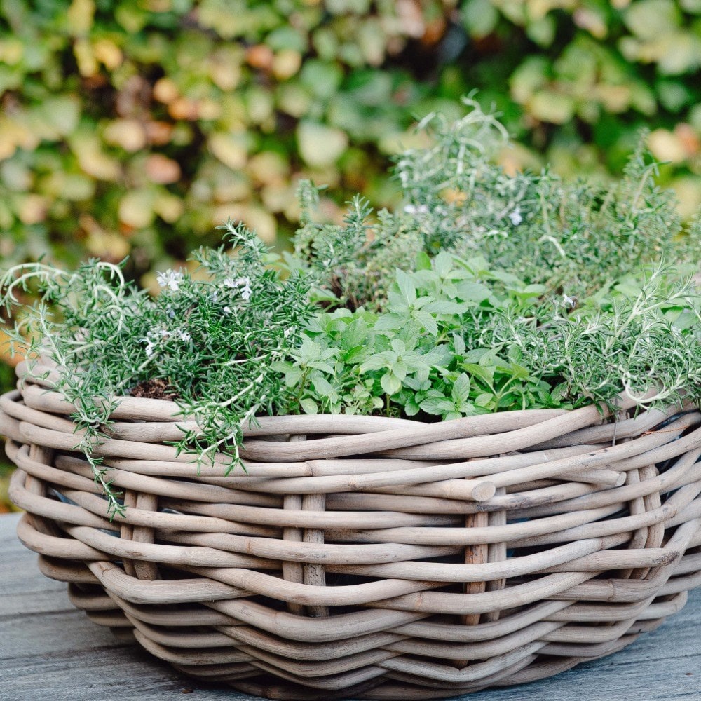 Round rattan large plant bowl