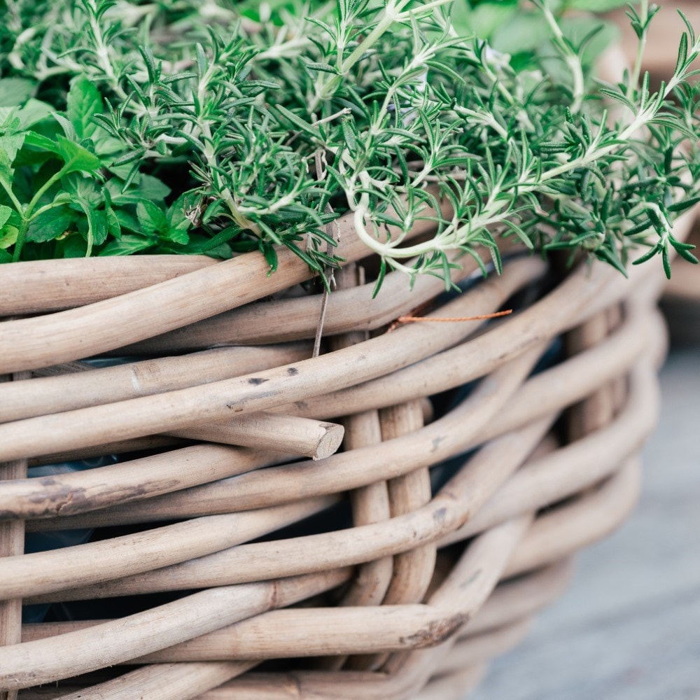Round rattan large plant bowl