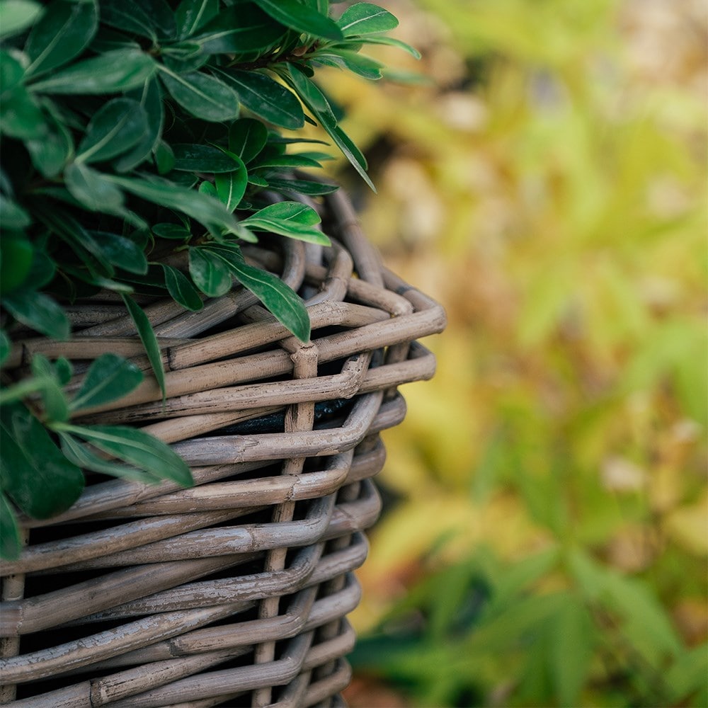 Large square rattan planter on wheels