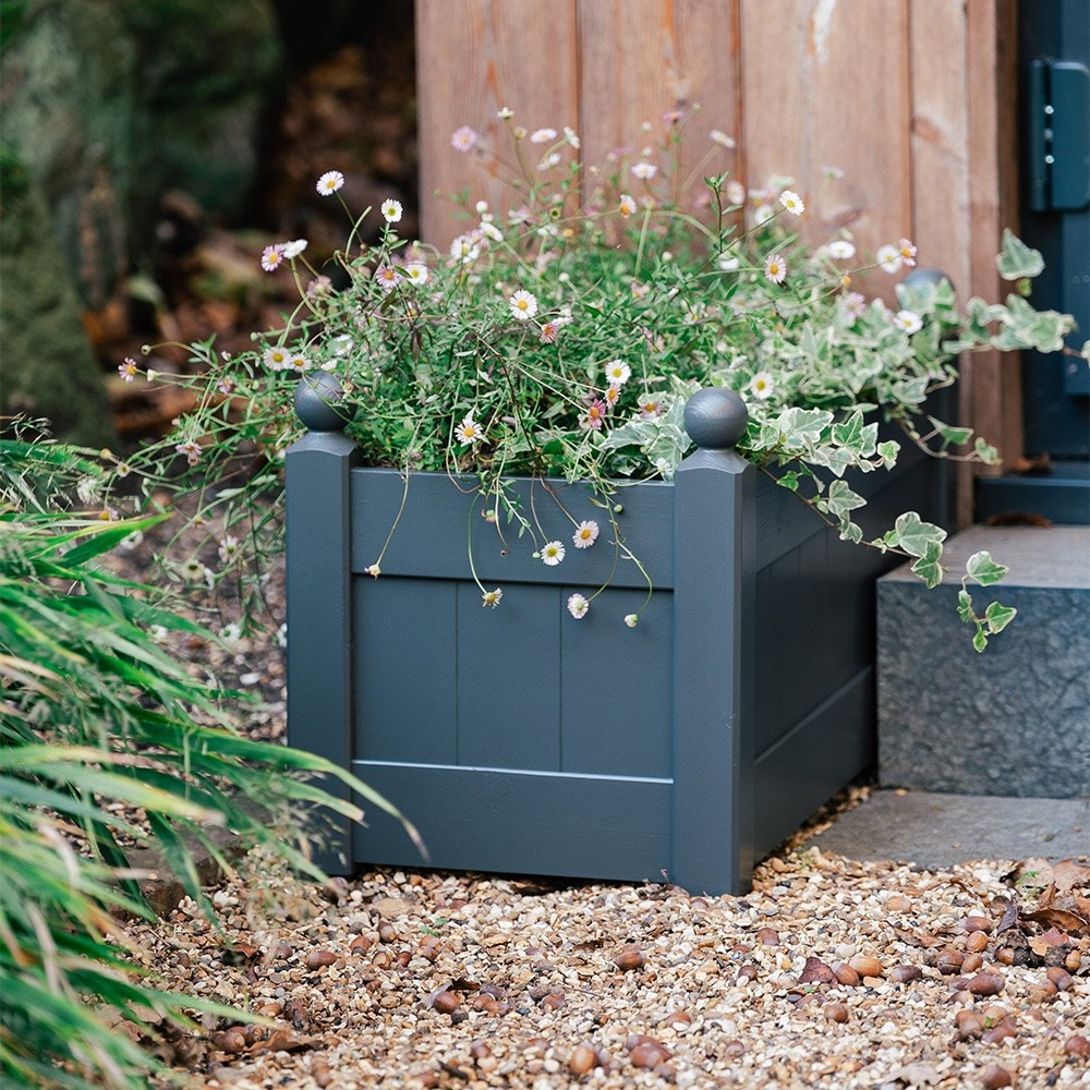 Product options image