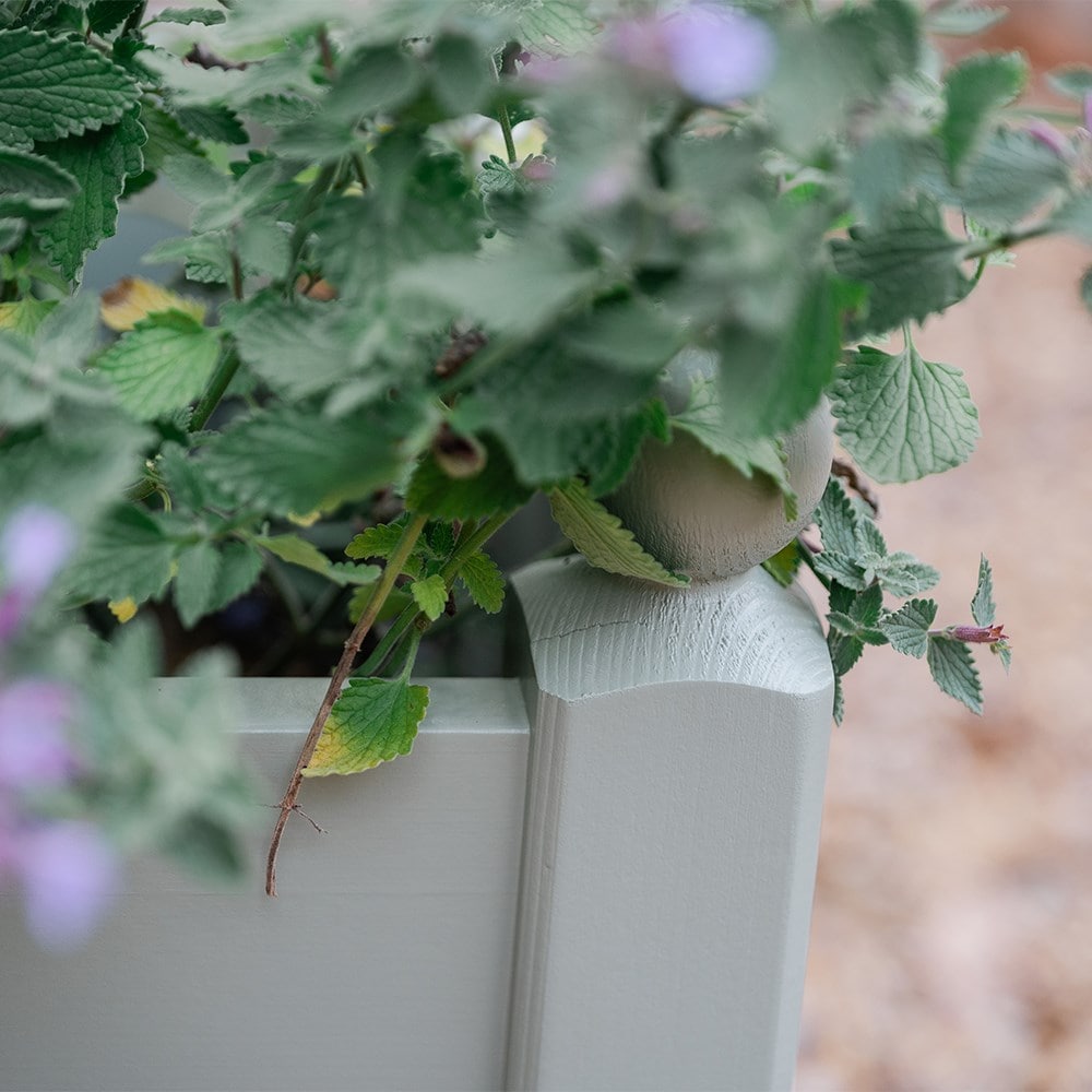 Classic wooden trough - sage