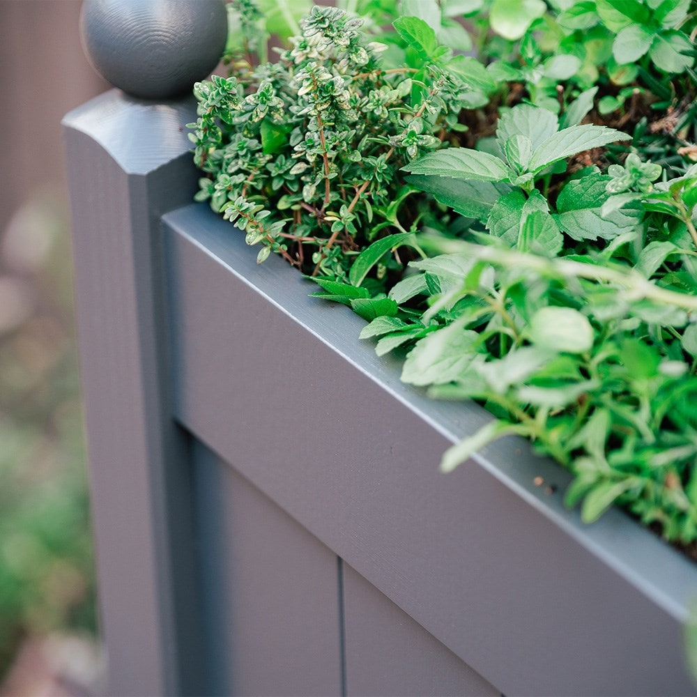 Wooden herb trough - charcoal