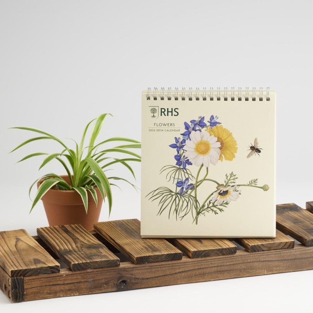 RHS 2026 desk easel calendar