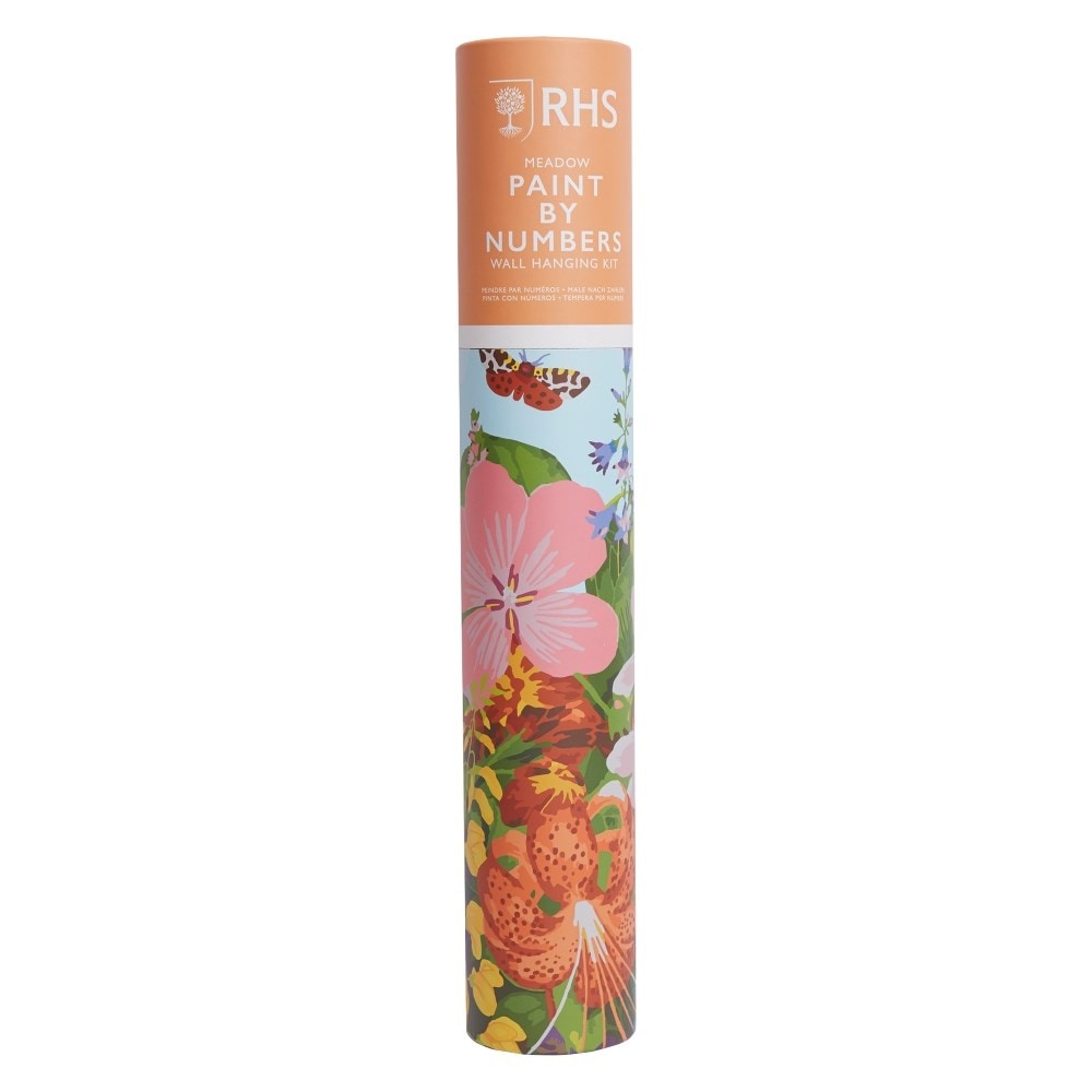 RHS paint by numbers - meadow