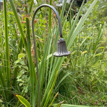 Bluebell stake