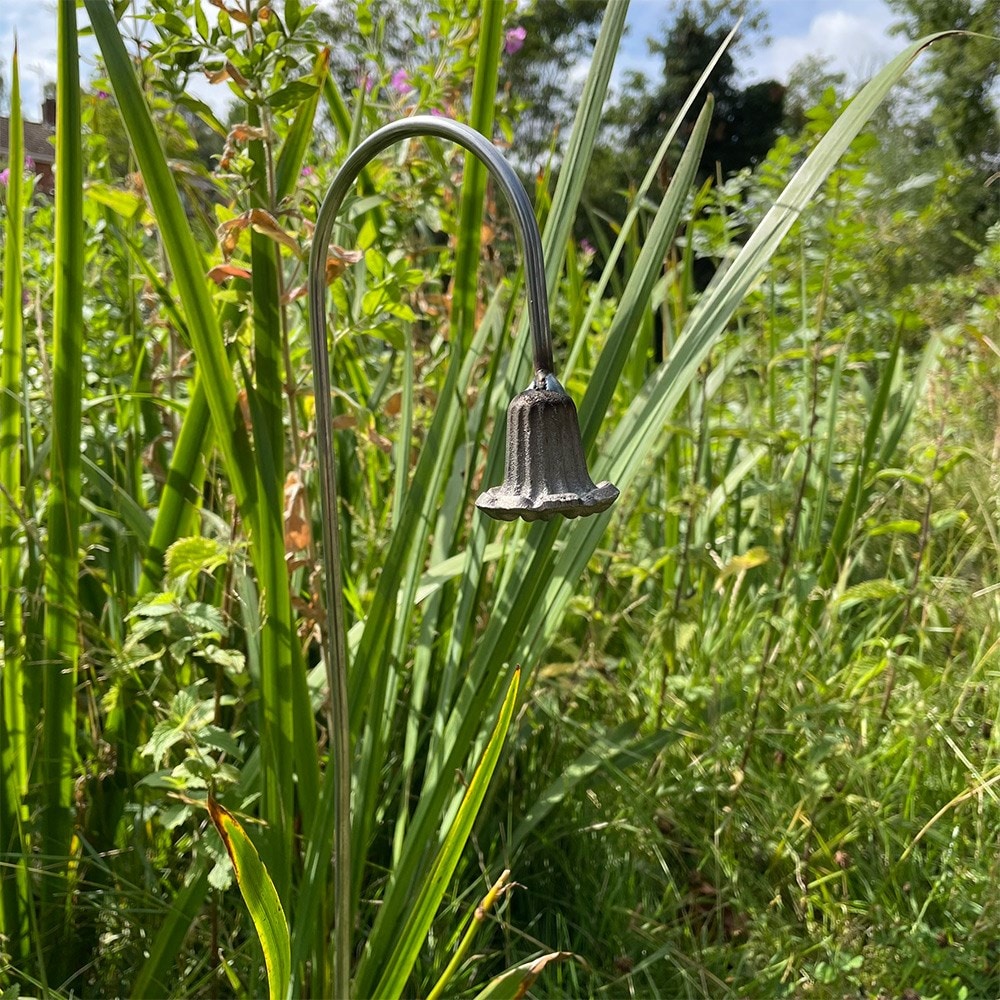 Bluebell stake