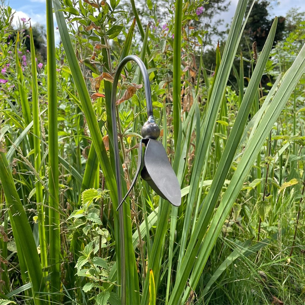 Open snowdrop stake